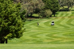 OR_Tambo_Golf_Day_Low_Res-227